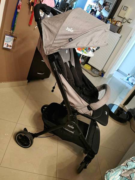 Joie pact lite gray